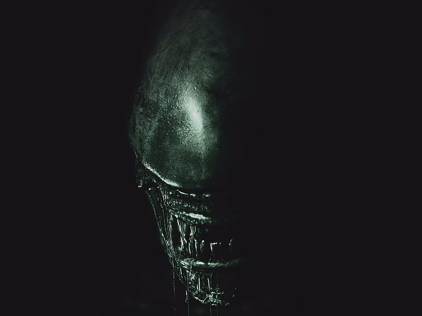 Alien: Covenant: the latest news, trailers, and from Ridley Scott's latest film, alien believe HD wallpaper