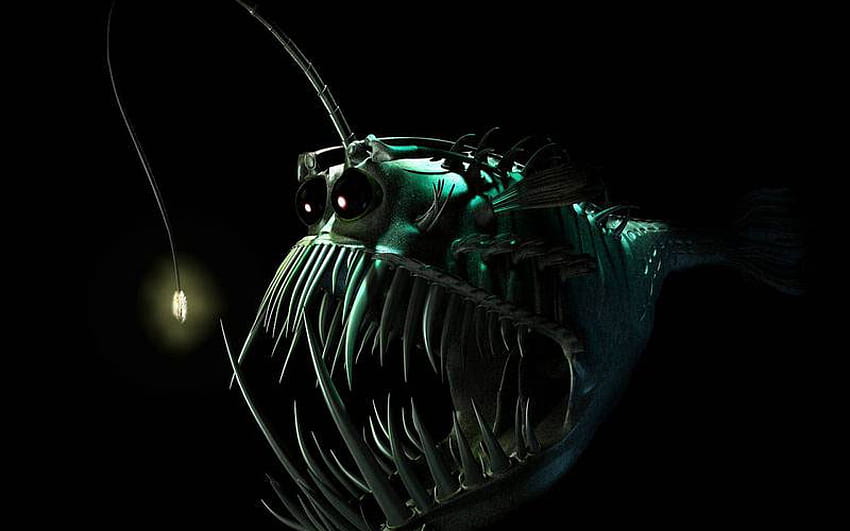 anglerfish, Fish, Ocean, Sea, Underwater, Dark, Creepy, Monster, Fangs / and Mobile Backgrounds, scary fish HD wallpaper