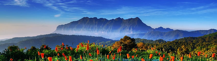 ธรรมชาติ ทิวทัศน์ ทิวทัศน์ ดอกไม้ ภูเขา ฤดูใบไม้ผลิ 5120x1440 วอลล์เปเปอร์ HD
