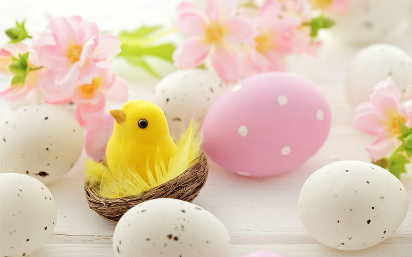 Pink and White Easter eggs, Cute Chick in Nest, Spring Flowers, baby chicks easter HD wallpaper