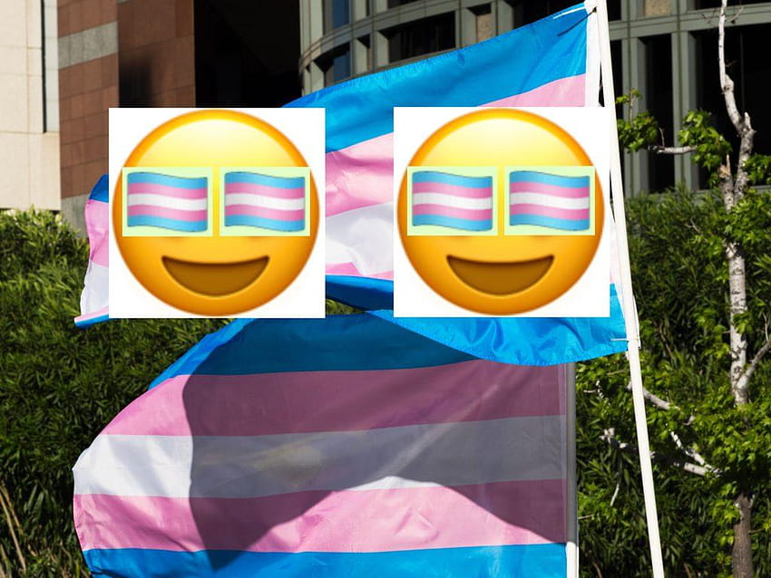 A transgender Pride flag emoji exists HD wallpaper