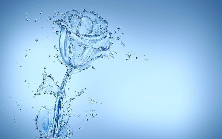 Creativity water spray drops flower rose e HD wallpaper