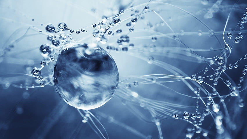 Water Drops, pure water HD wallpaper