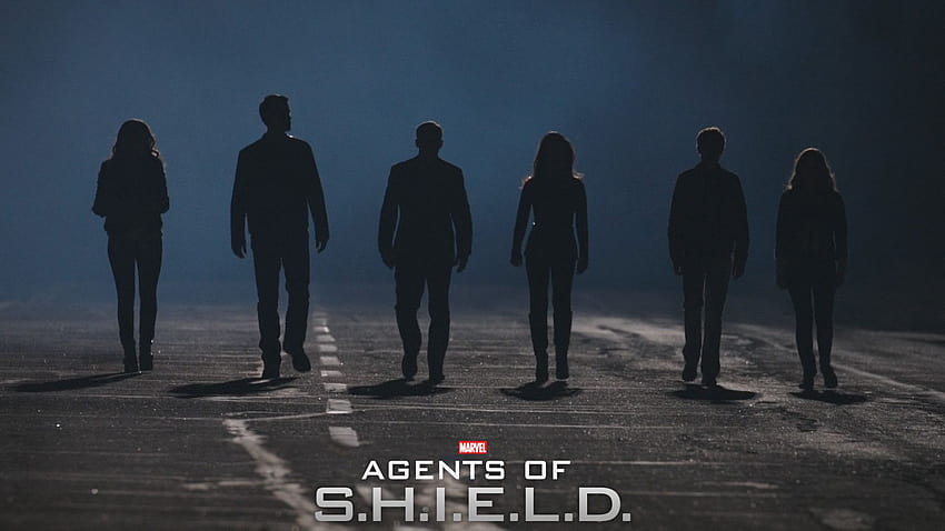 4 Agents of Shield, agent may HD wallpaper