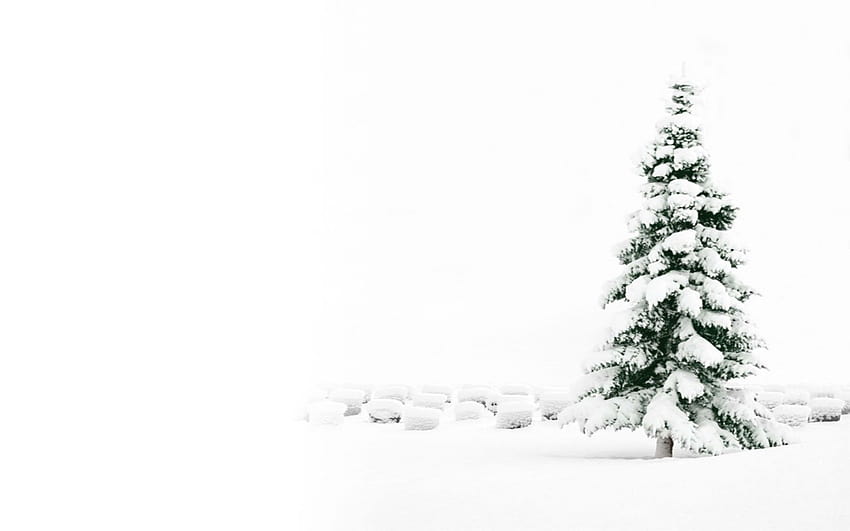 7 White Christmas, black and white christmas HD wallpaper | Pxfuel