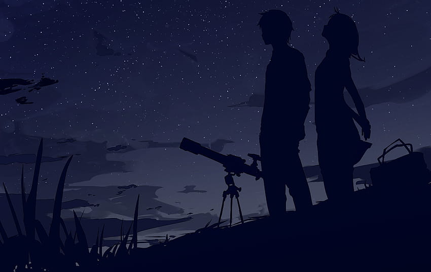 Viendo el cielo nocturno, pareja de anime nocturno fondo de pantalla |  Pxfuel