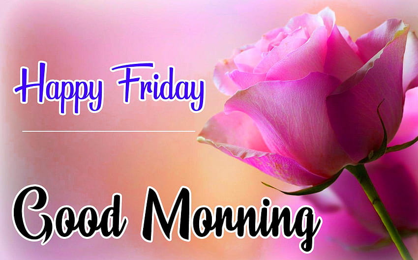 friday wallpaper and words image  Its friday quotes Good morning  quotes Weekend quotes