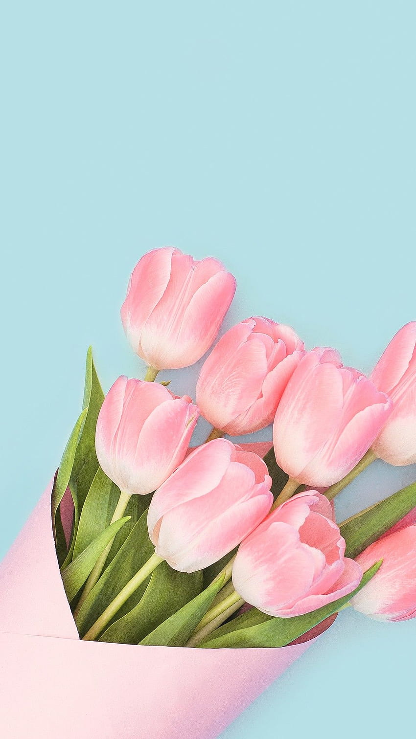 Baby Pink Tulips, iphone tulips HD phone wallpaper
