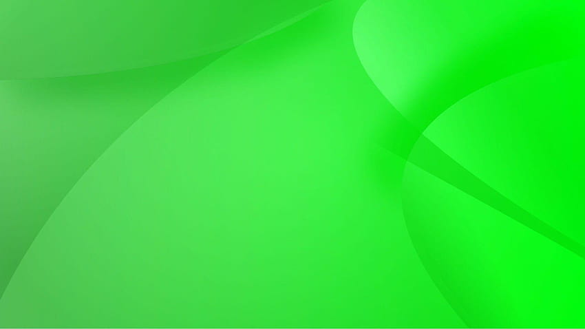 Backgrounds hijau daun – Safaroh Ziarah Haramain, background hijau HD wallpaper