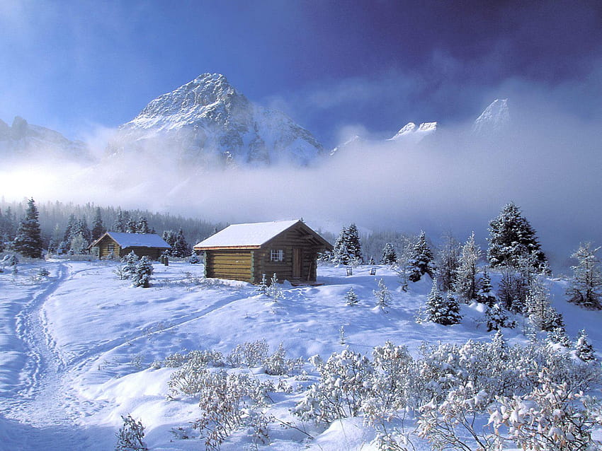 Winter Scene Backgrounds Group, snow scene HD wallpaper