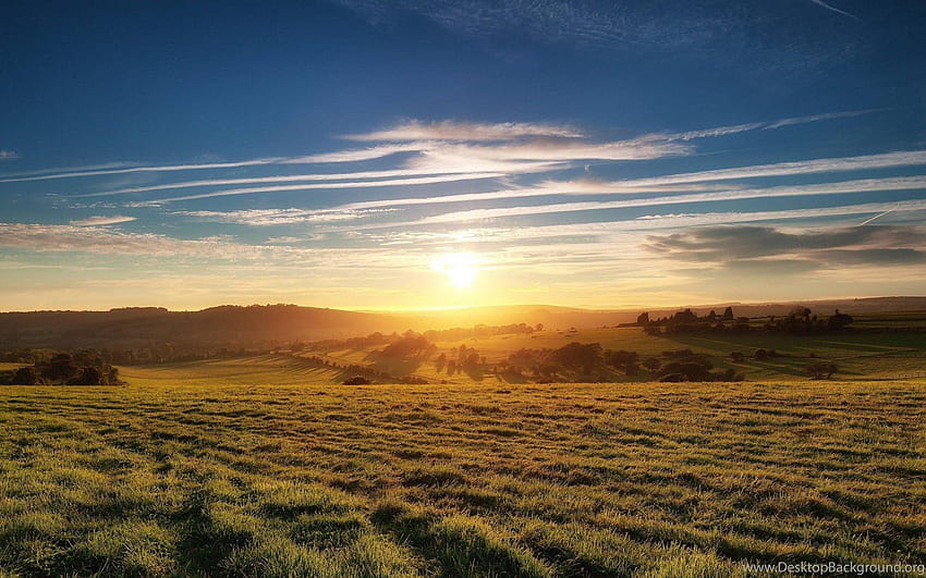 Sunset Grassland • พื้นหลัง IPhones ทุ่งหญ้า วอลล์เปเปอร์ HD