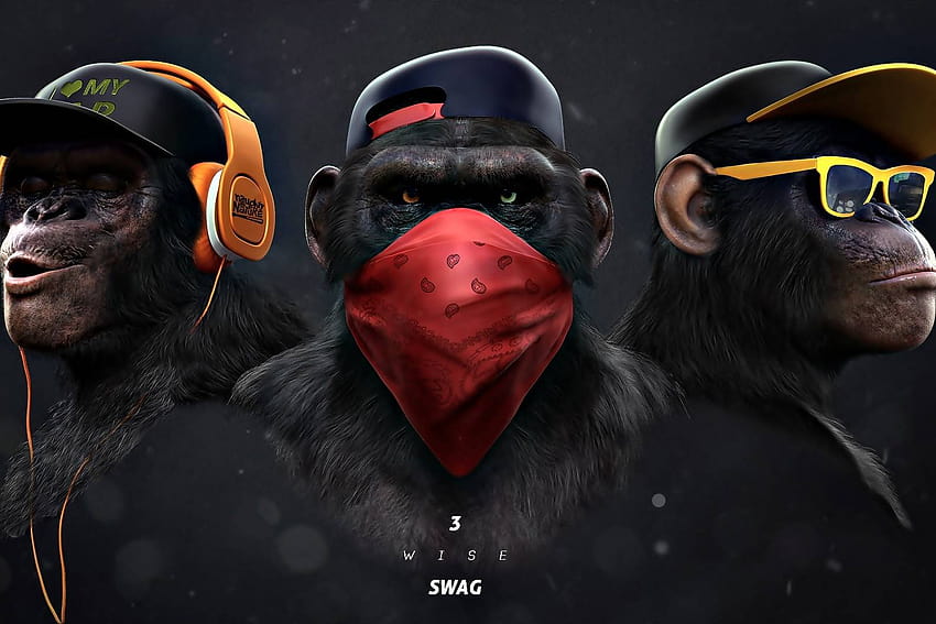 Cool Monkey, tres monos sabios fondo de pantalla