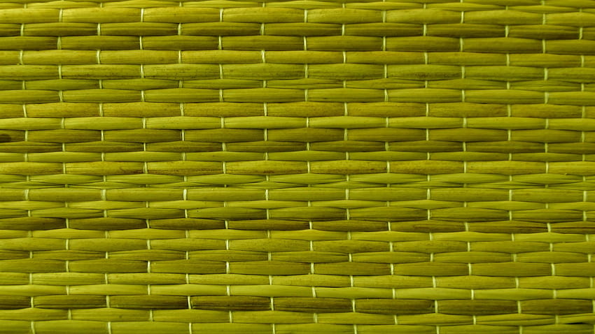 Oliv, Grün, Hintergrund, Web, Olivgrün HD-Hintergrundbild