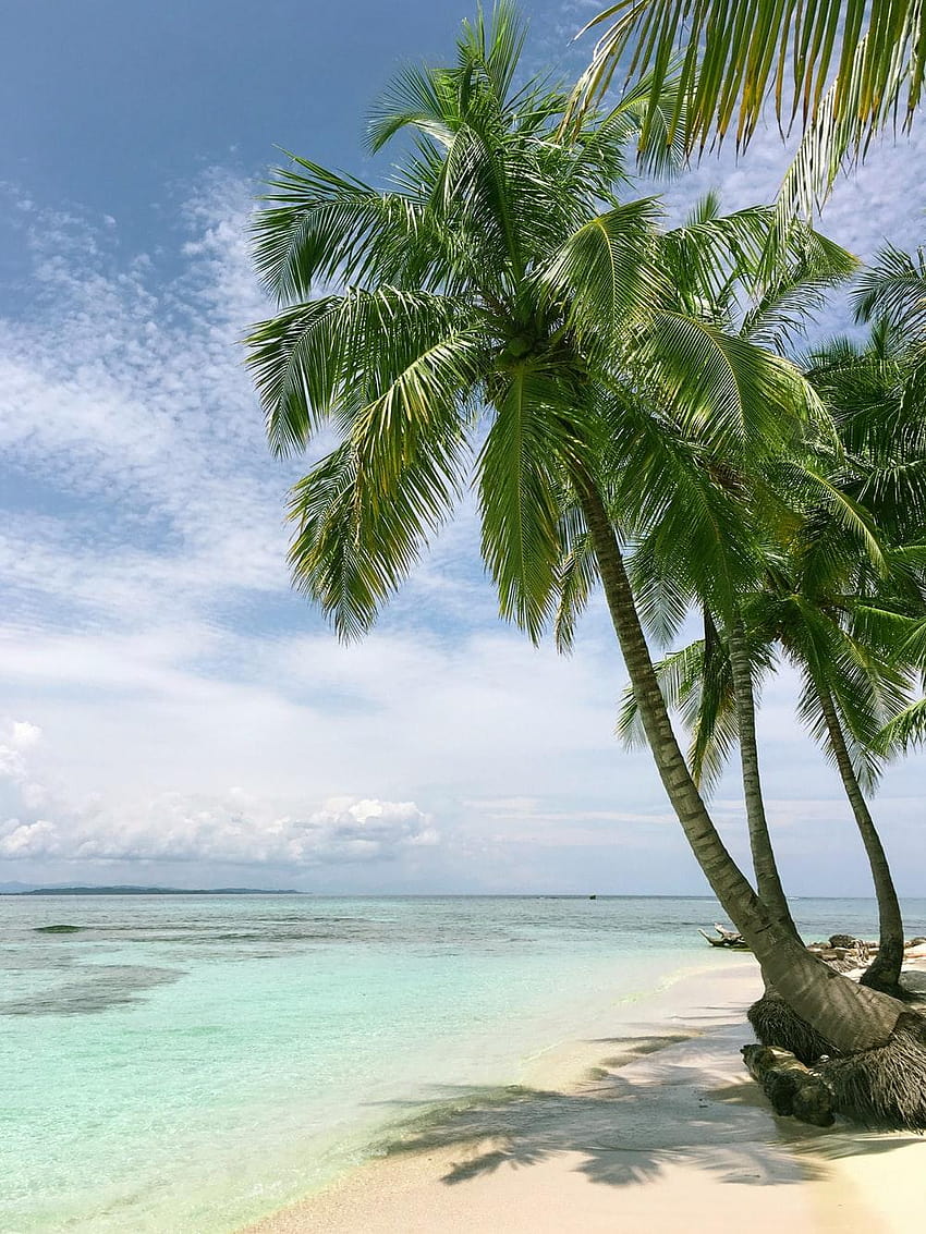 ปานามาที่สวยงาม ชายฝั่งเกาะเขตร้อนของปานามา วอลล์เปเปอร์โทรศัพท์ HD
