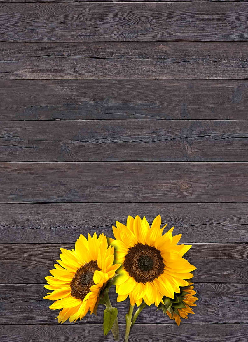 Undangan Pesta Sunflower Birtay Mengundang Yellow Flower Summer Rustic Wood Country Southe… wallpaper ponsel HD