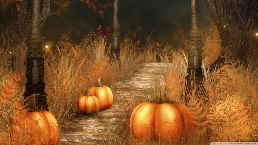 Cute Halloween, pumpkins and basket HD wallpaper