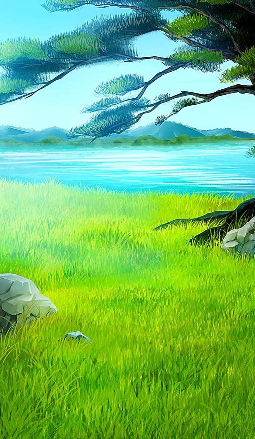 Anime Scenery Nature Grass Field White Clouds Blue Sky HD Anime Girl  Wallpapers  HD Wallpapers  ID 105678