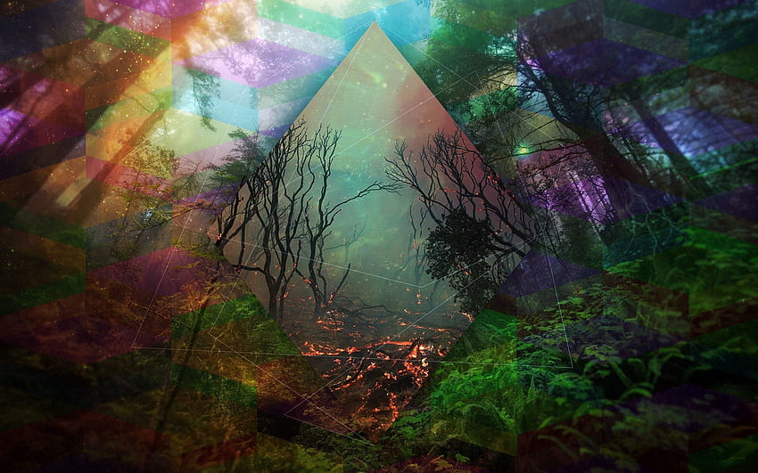 Psychedelic Forest, trippy autumn HD wallpaper