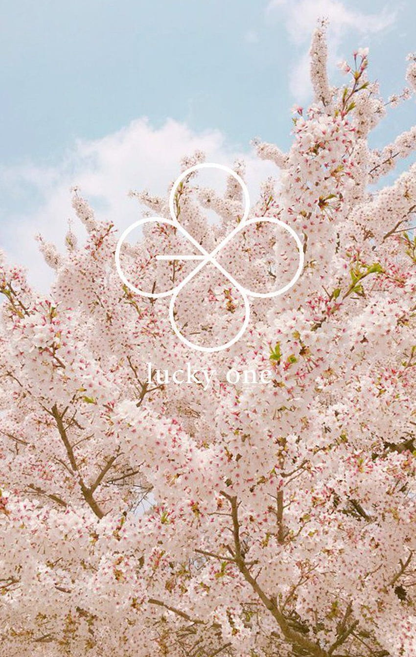 Естетично аниме Cherry Blossom, sakura trees aesthetic ps4 HD тапет за телефон