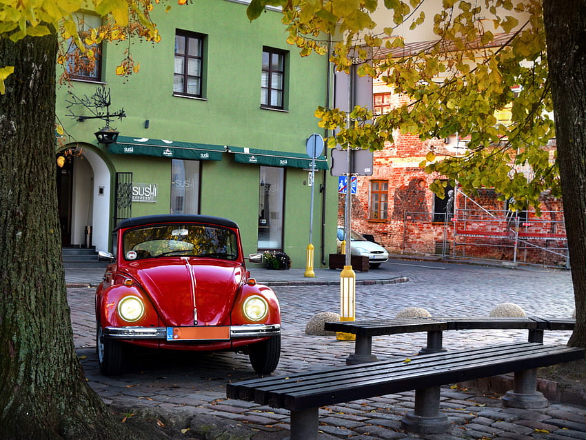 Volkswagen Beetle rojo cupé estacionado junto al tronco de un árbol gris cerca de un banco de hormigón negro durante el día • For You For & Mobile, insecto volkswagen de otoño fondo de pantalla