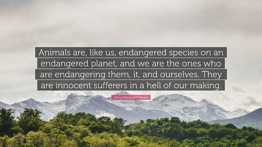 Jeffrey Moussaieff Masson กล่าวไว้ว่า “สัตว์ต่างๆ ก็เป็นสัตว์ใกล้สูญพันธุ์บนโลกที่ใกล้สูญพันธุ์ เช่นเดียวกับเรา และเราคือผู้ที่ทำให้พวกเขาตกอยู่ในอันตราย มัน และ ...” วอลล์เปเปอร์ HD