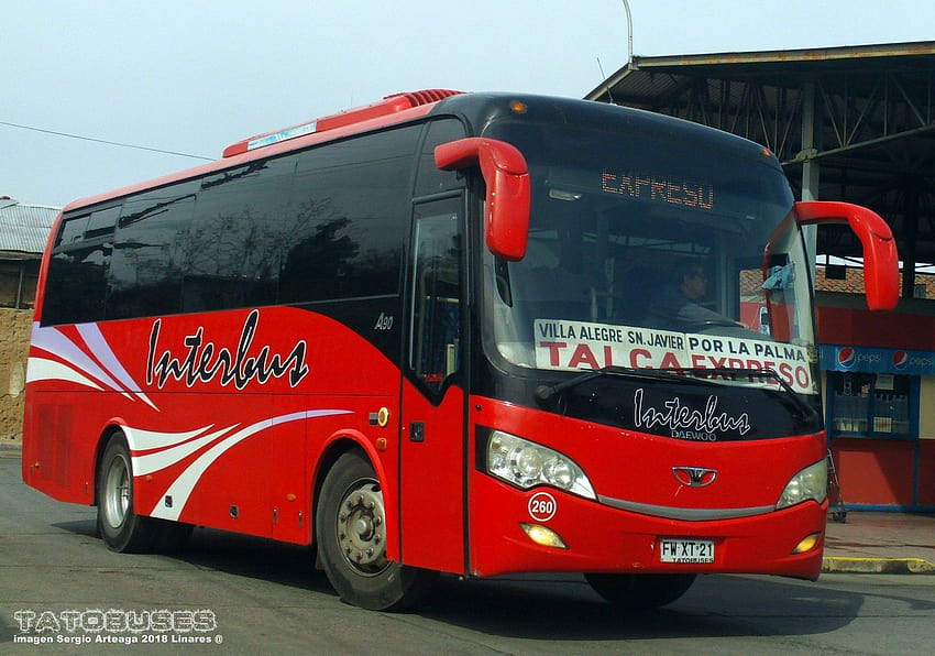 ← Buses Interbus ©→, daewoo express HD wallpaper