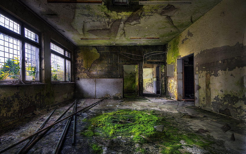 abandoned building, moss, Pipe HD wallpaper
