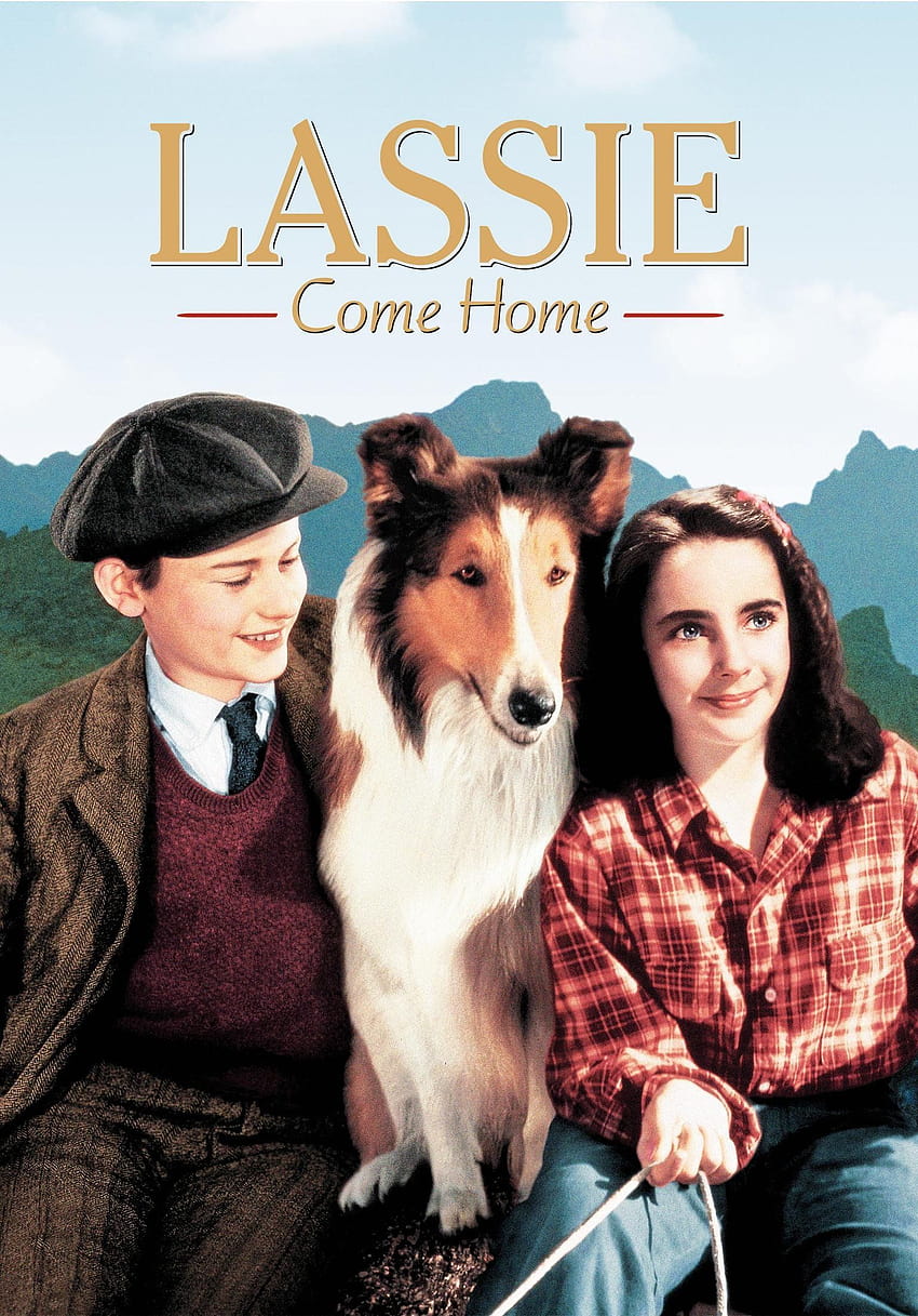 Watch Lassie Come Home Lassie 1994 Hd Phone Wallpaper Pxfuel