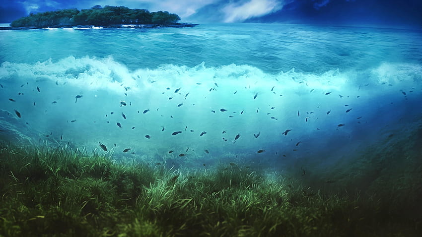 Underwater, music under water HD wallpaper