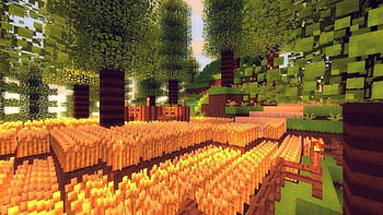 Minecraft shaders backgrounds HD wallpapers | Pxfuel