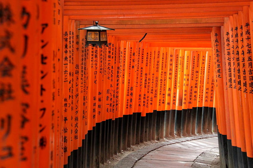 Kyoto travel guide area by area: the Fushimi Inari Shrine, fushimi inari taisha HD wallpaper