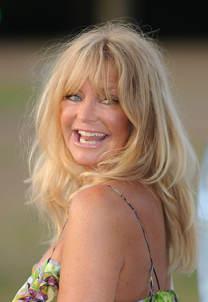 Goldie Hawn The Elephant Parade auction 2010 and HD phone wallpaper