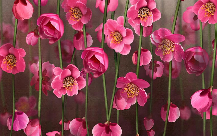 Pink Flowers , Fantastic Pink Flowers HD wallpaper | Pxfuel