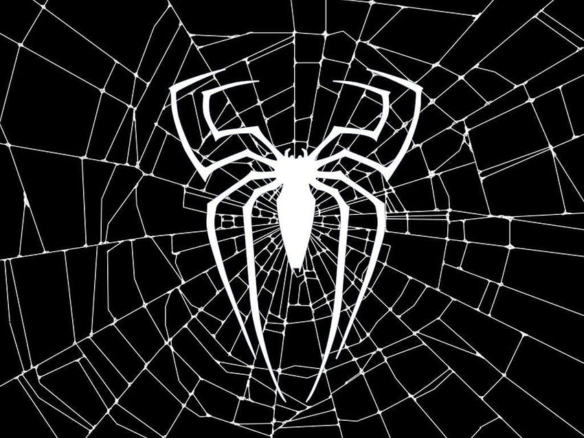 Hochwertige Spinnennetz-Hintergründe Voll, Spinnenmann schaltet die Dunkelheit aus HD-Hintergrundbild