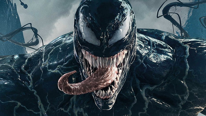 Venom News, venom marvel halloween HD wallpaper