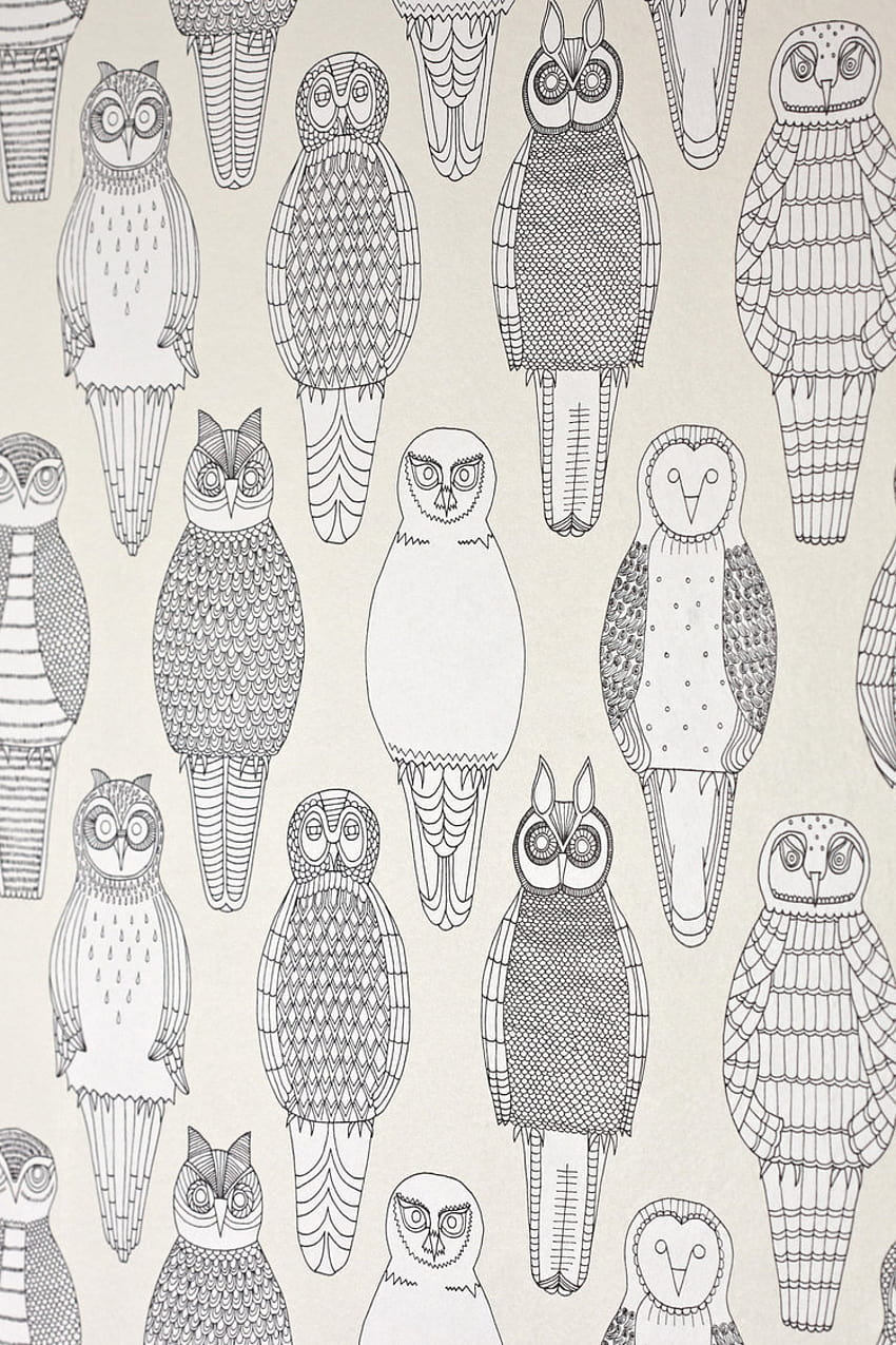 Owls of the British Isles Swatch HD phone wallpaper