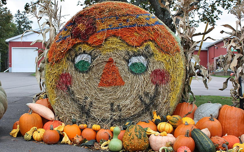 Smilies Autumn Nature Pumpkin Hay Design 1280x800, 1280x800 thanksgiving HD wallpaper