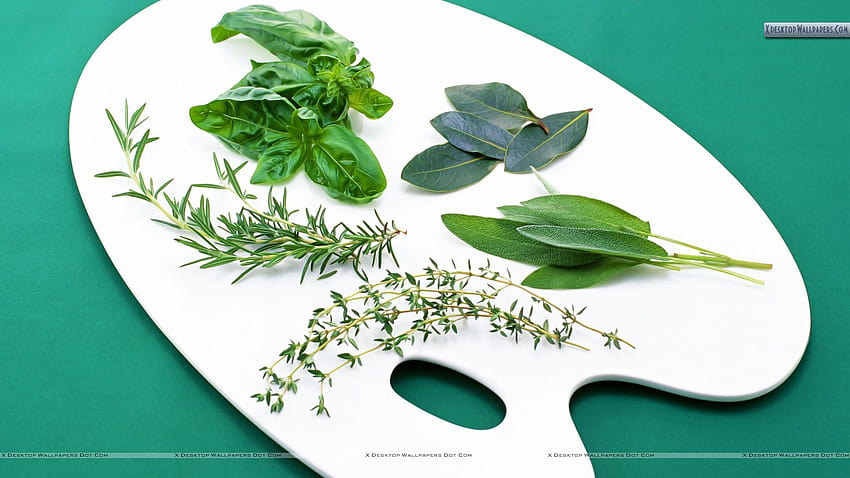 Best 4 Medicinal Herbs on Hip, herbal HD wallpaper