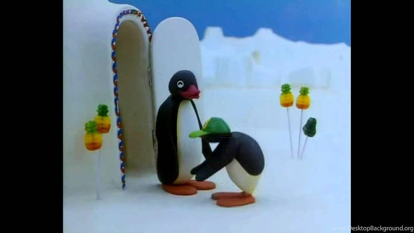 Pingu the penguin HD wallpapers | Pxfuel