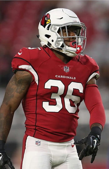 Budda baker hires stock photography and images  Alamy