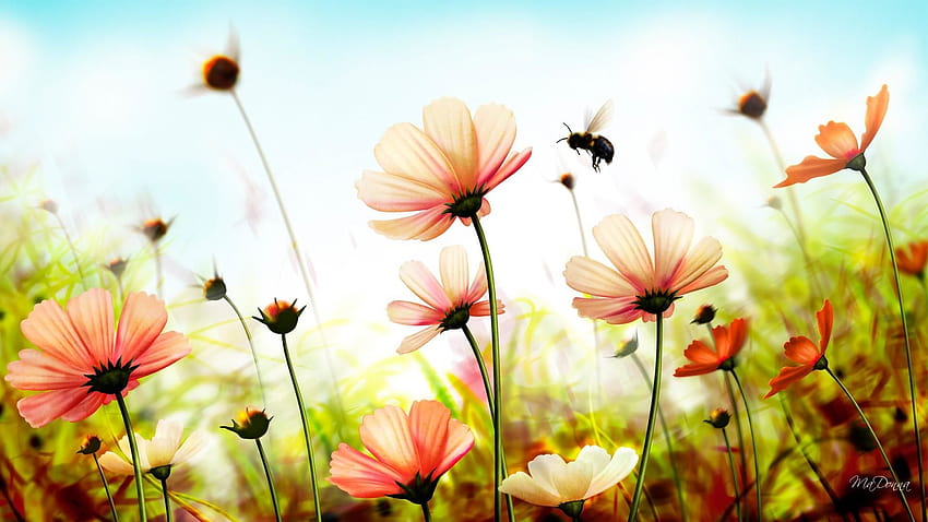 Summer Flower Backgrounds, plants tumblr high resolution laptop HD wallpaper