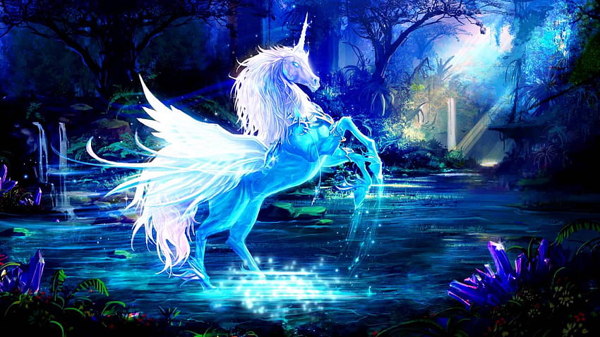 Pretty Unicorn, unicorn rider HD wallpaper