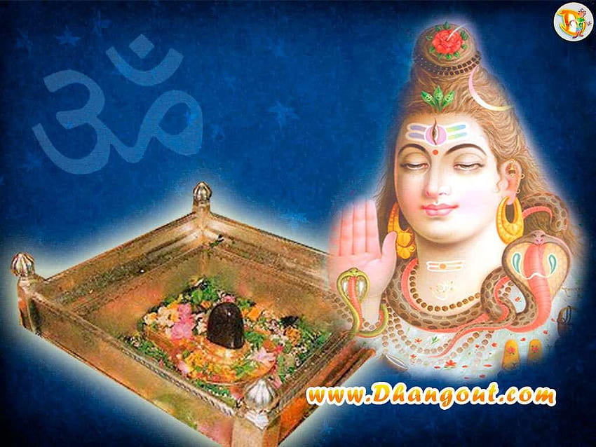 and information Lord Shiva Family High Resolution [1024x768] for your , Mobile & Tablet, shiv family HD wallpaper