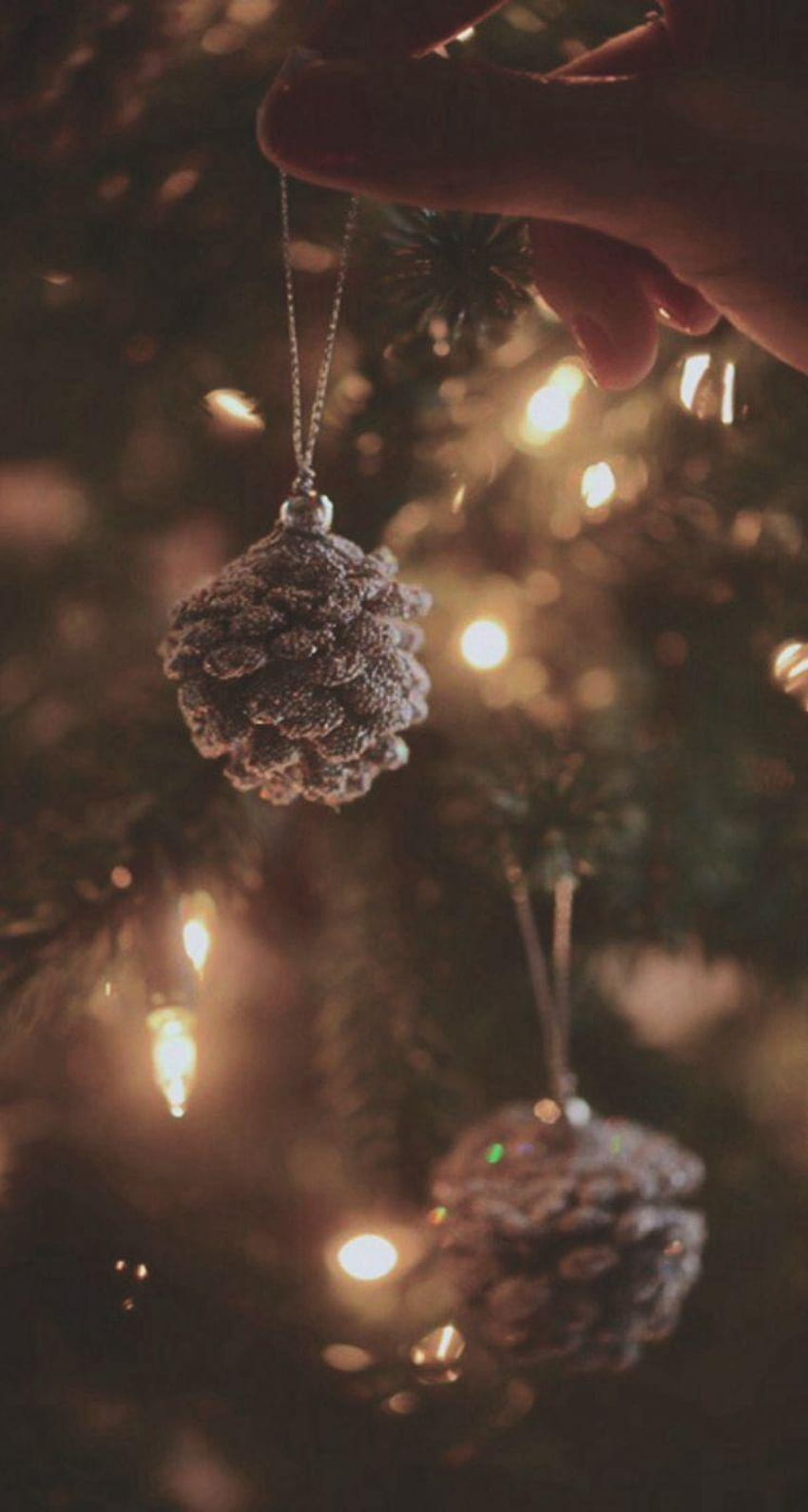 Weihnachtsbaum Tannenzapfen dekorieren iPhone se, Weihnachtskiefer HD-Handy-Hintergrundbild