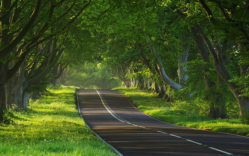 pięknej pustej autostrady Piękna droga [2560x1600] na telefon komórkowy i tablet, autostrada Tapeta HD