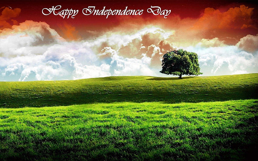 Feliz celebración del Día de la Independencia en India, día de la independencia especial 3d fondo de pantalla
