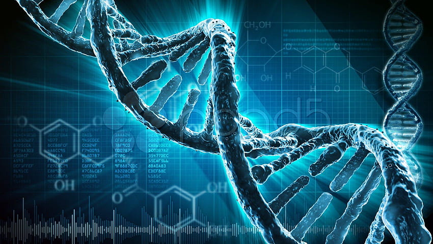 DNA, 3 d, 構造, 分子, パターン, 抽象化, 遺伝, DNA テスト 高画質の壁紙