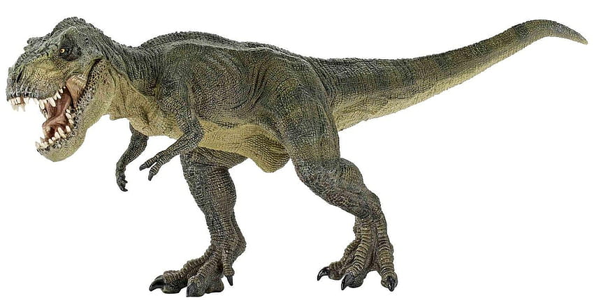 T Rex PNG Transparan T Rex .PNG ., dinosaurus t rex Wallpaper HD