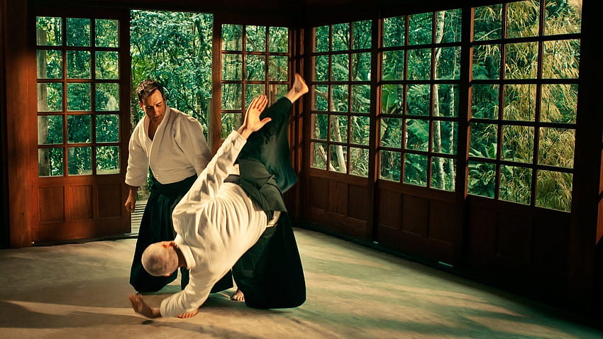 .wiki, aikido HD wallpaper