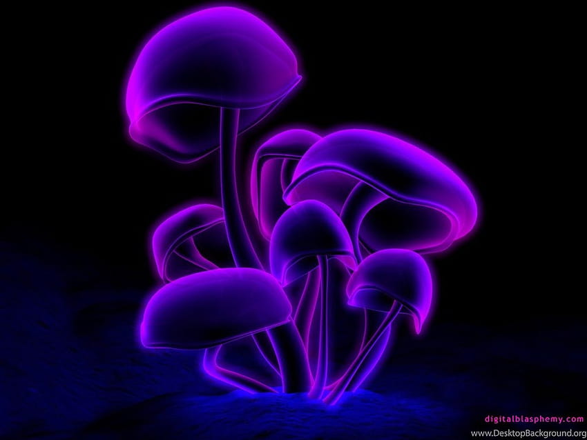 Trippy Mushroom Backgrounds Zone Backgrounds, trippy mushrooms HD wallpaper